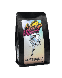 Loose Unicorns Guatemala - Ciudad Vieja Specialty Coffee Beans, 250g